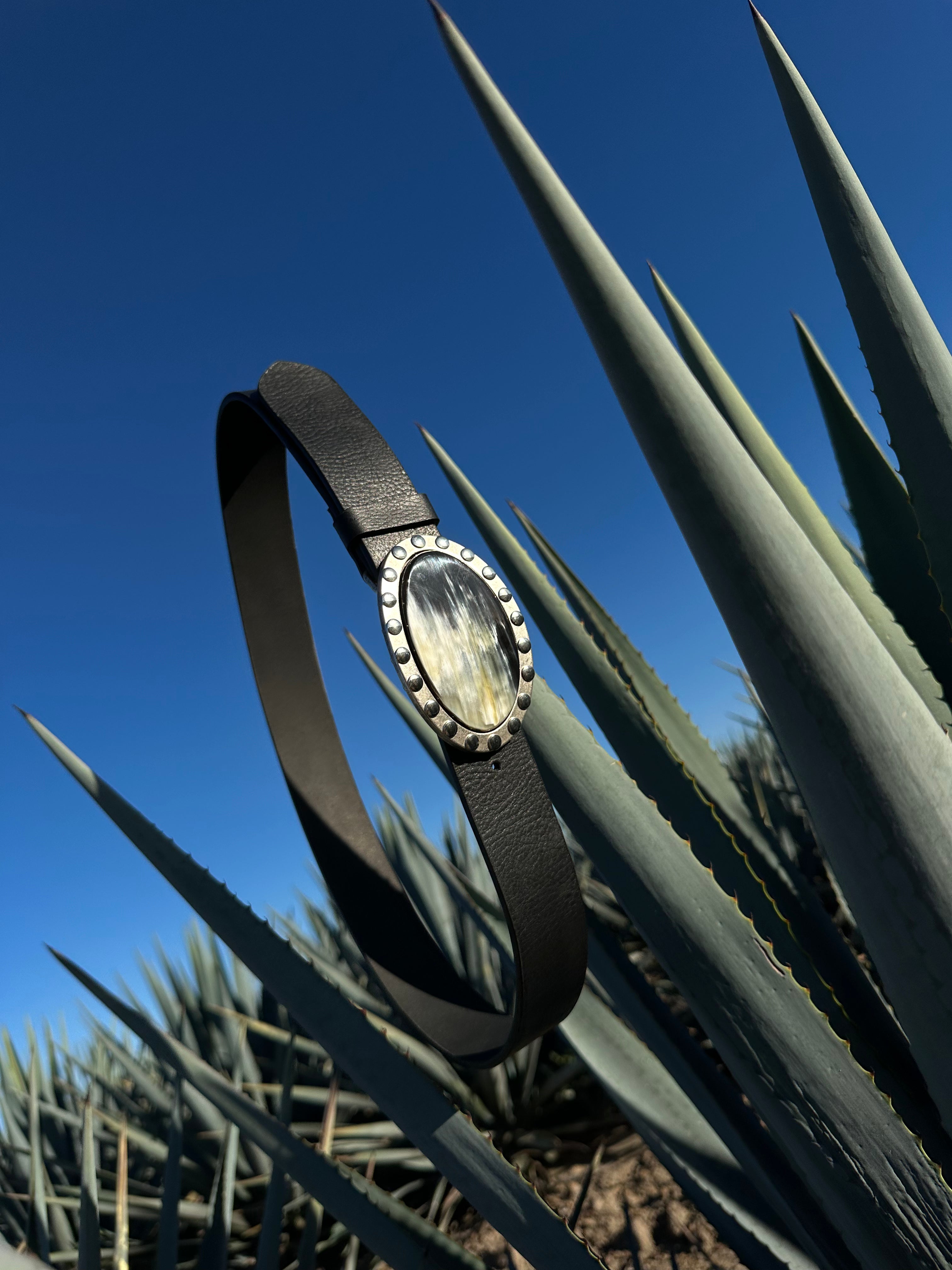 H O R N  B E L T 2 . 0 [ bonanza s24 ]