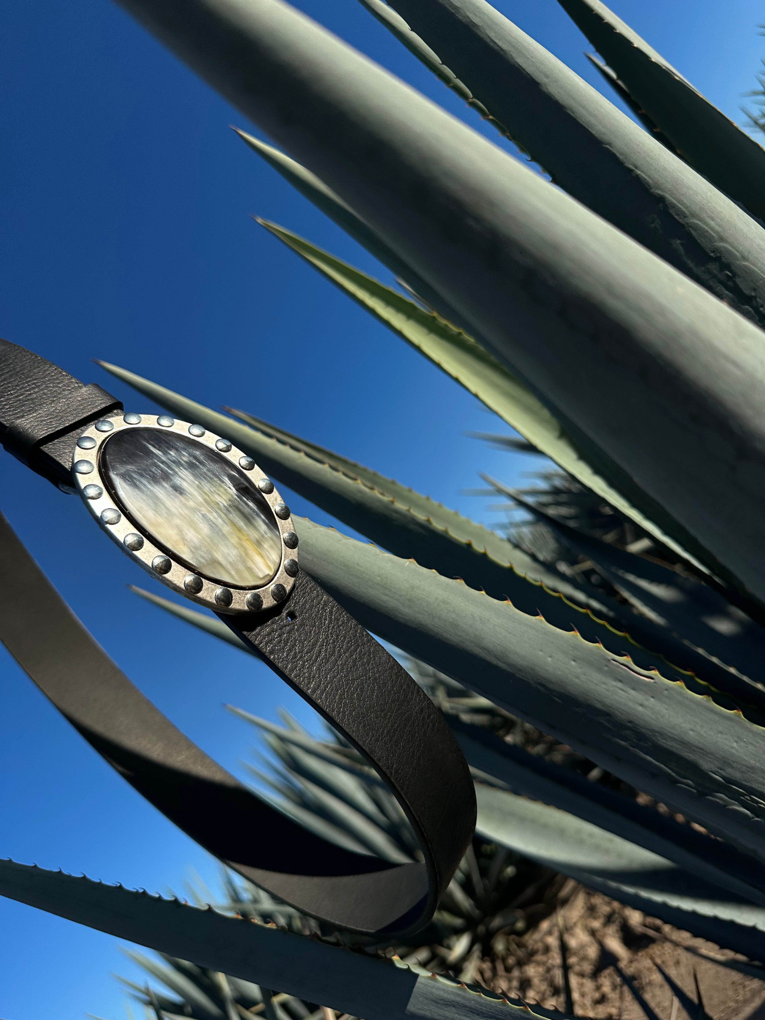 H O R N  B E L T 2 . 0 [ bonanza s24 ]