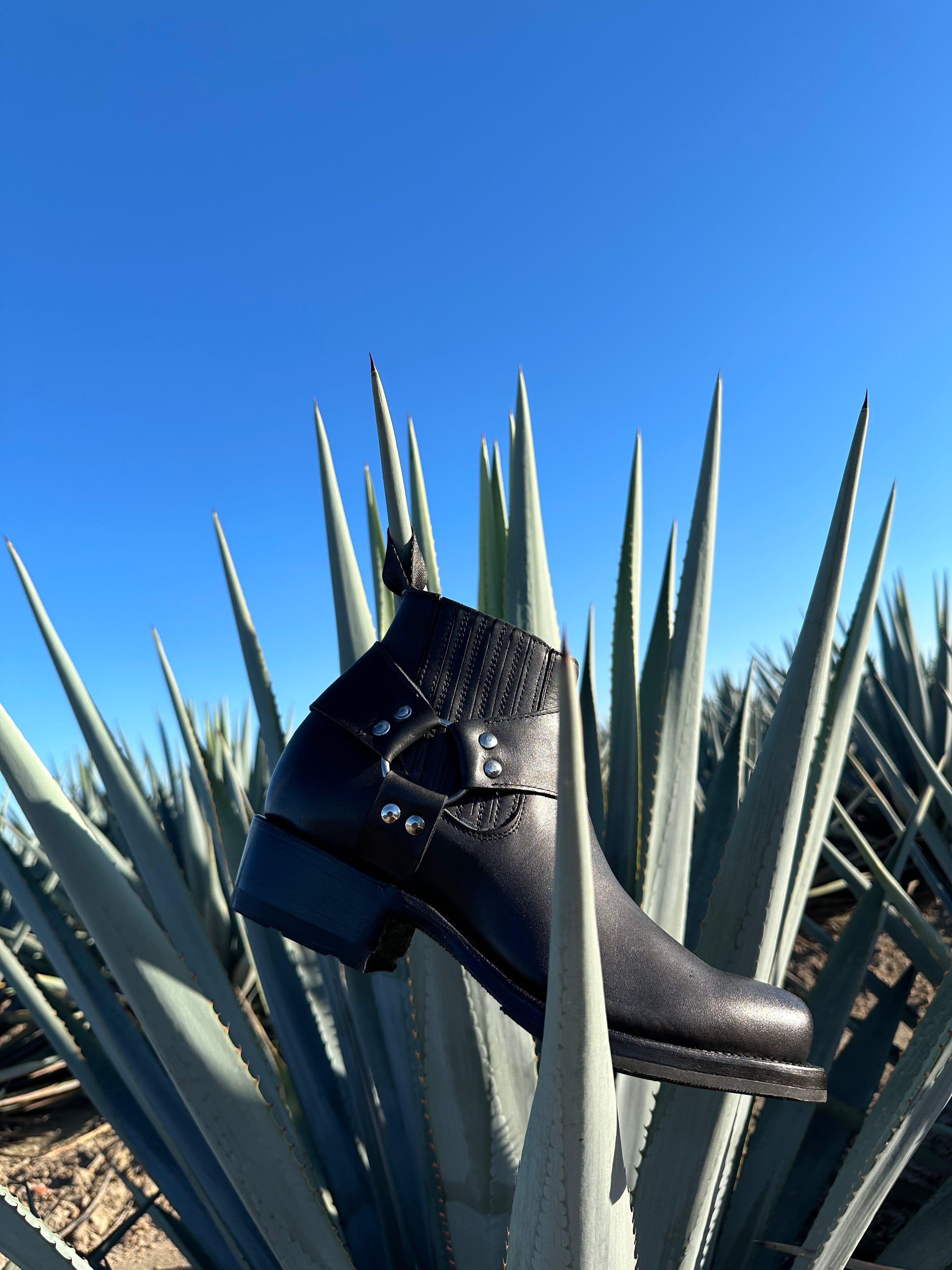 BOTAS SQUARE TOE // Black